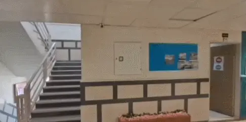 School Section 5