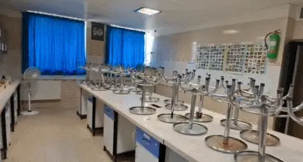 School Section 2